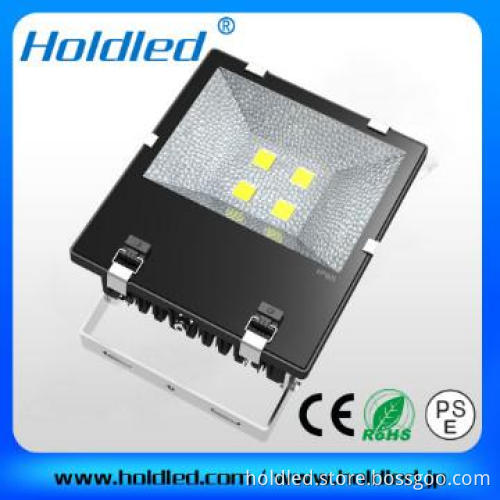 Led Flood light 100W COB 2013